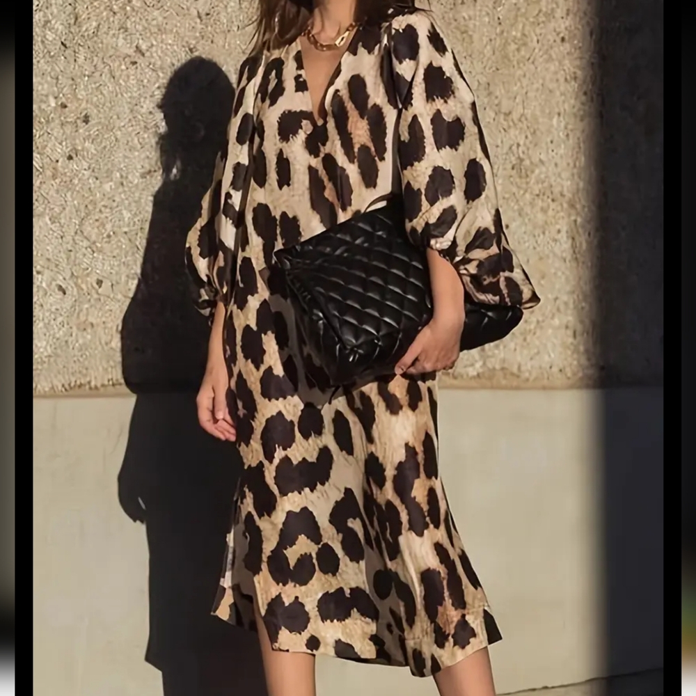 Dresses Leopard Print Lantern Sleeve V NeckLong Dress - Picture 4 of 4